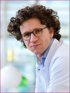 Website - onderzoeksteam - Gabe2